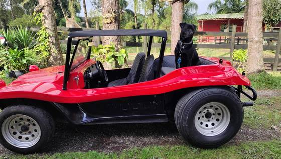 VOLKSWAGEN BUGGY 1.6 8V GASOLINA 2P MANUAL VOLKSWAGEN BUGGY 1.6 8V GASOLINA 2P MANUAL